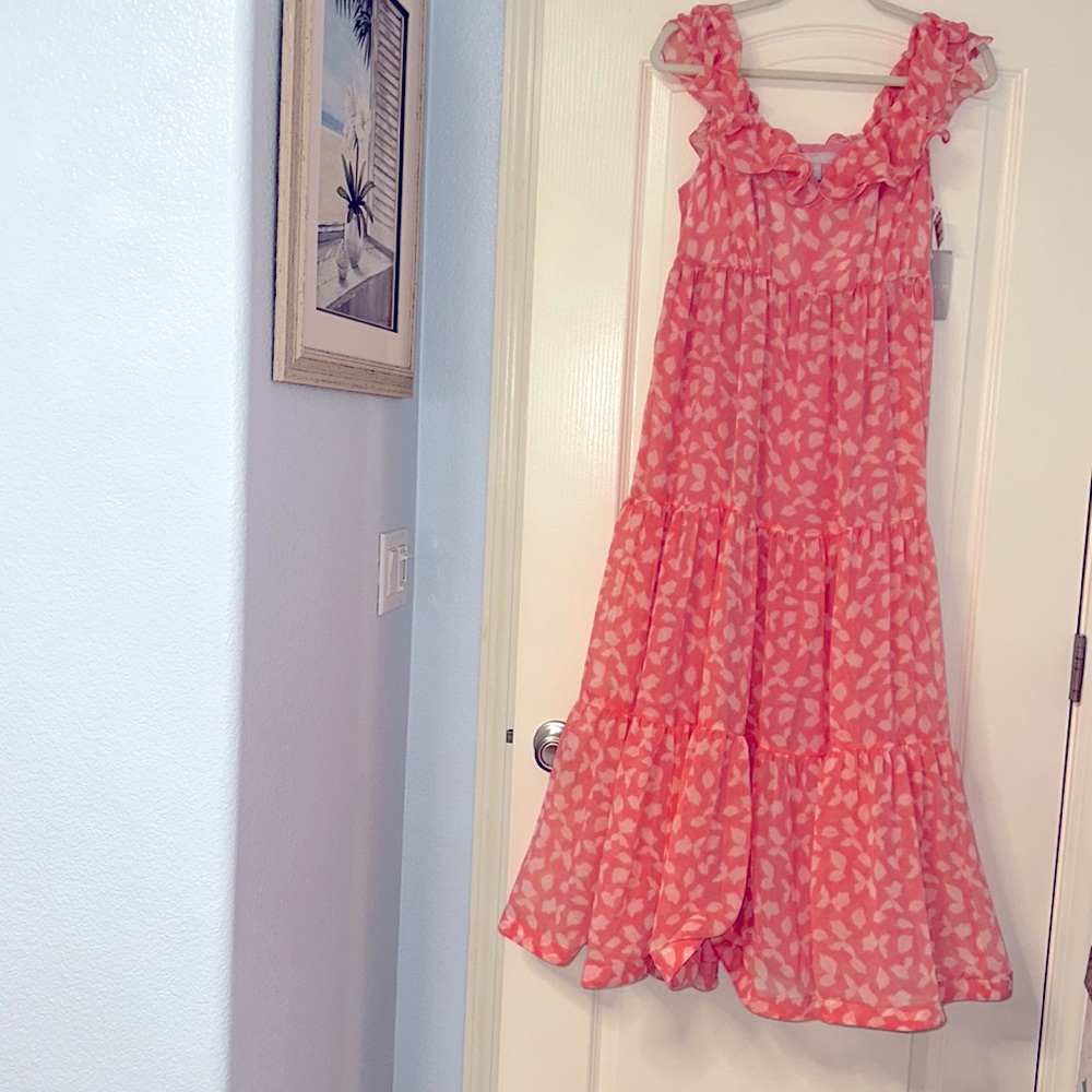 NWT ruffle maxi dress - M